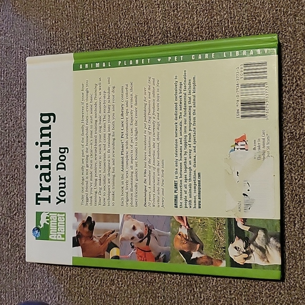 Training Your Dog - Picture 2 of 3